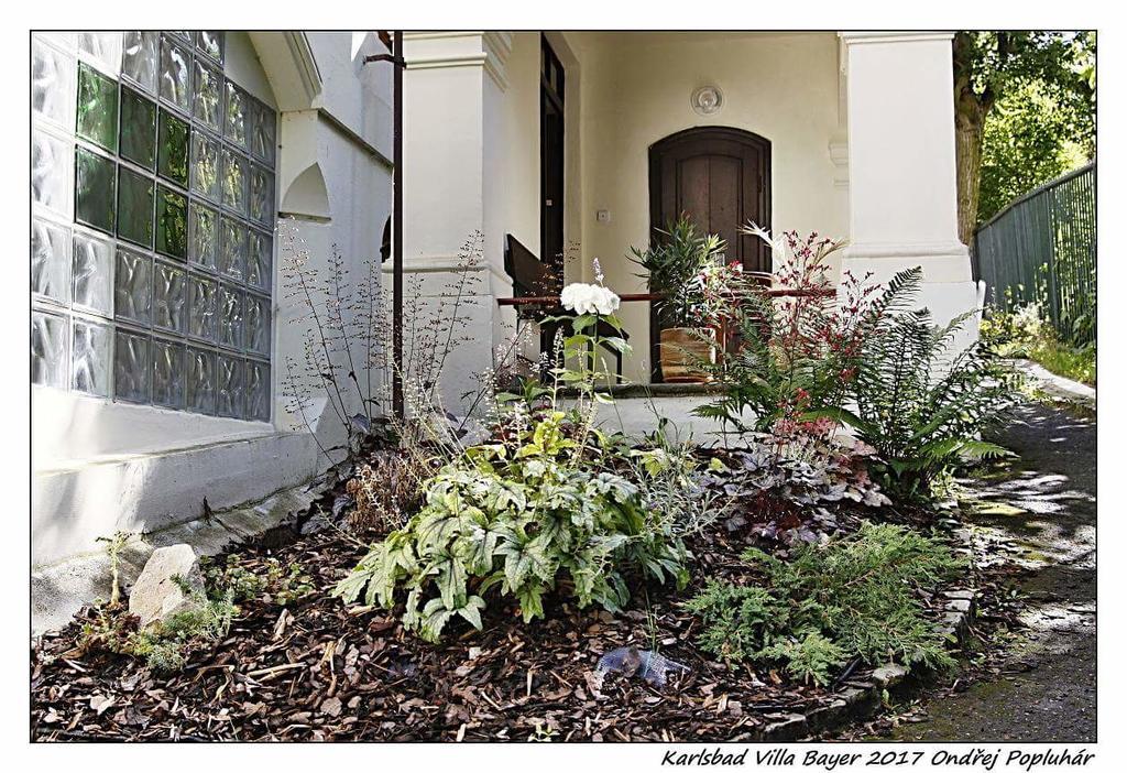 Apartmán Vila Bayer Karlovy Vary Exterior foto